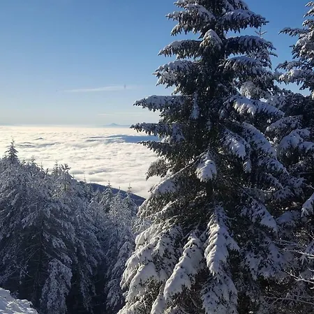 Arca Montana בית חווה *